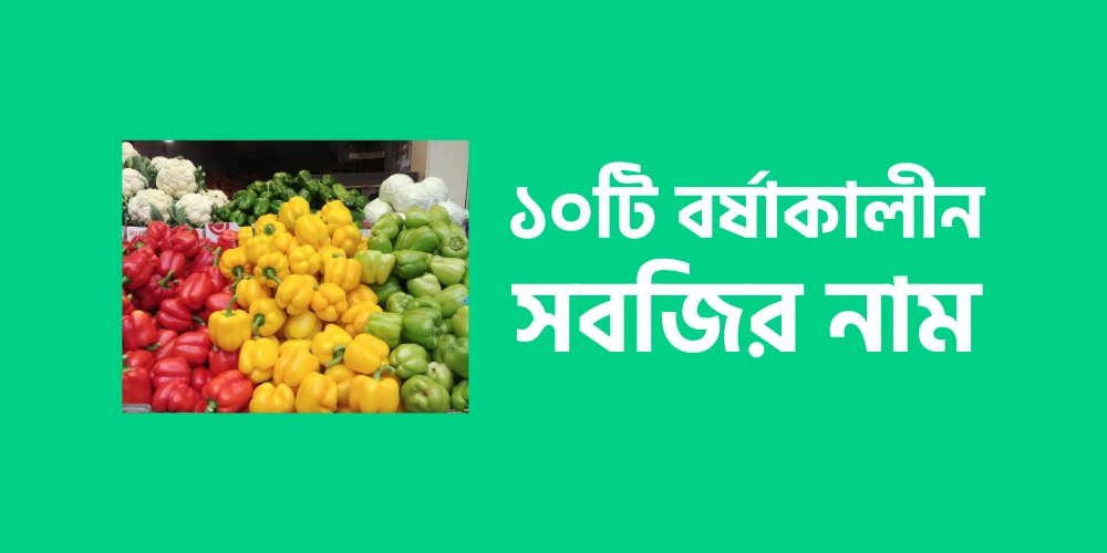 Name of 10 monsoon vegetables